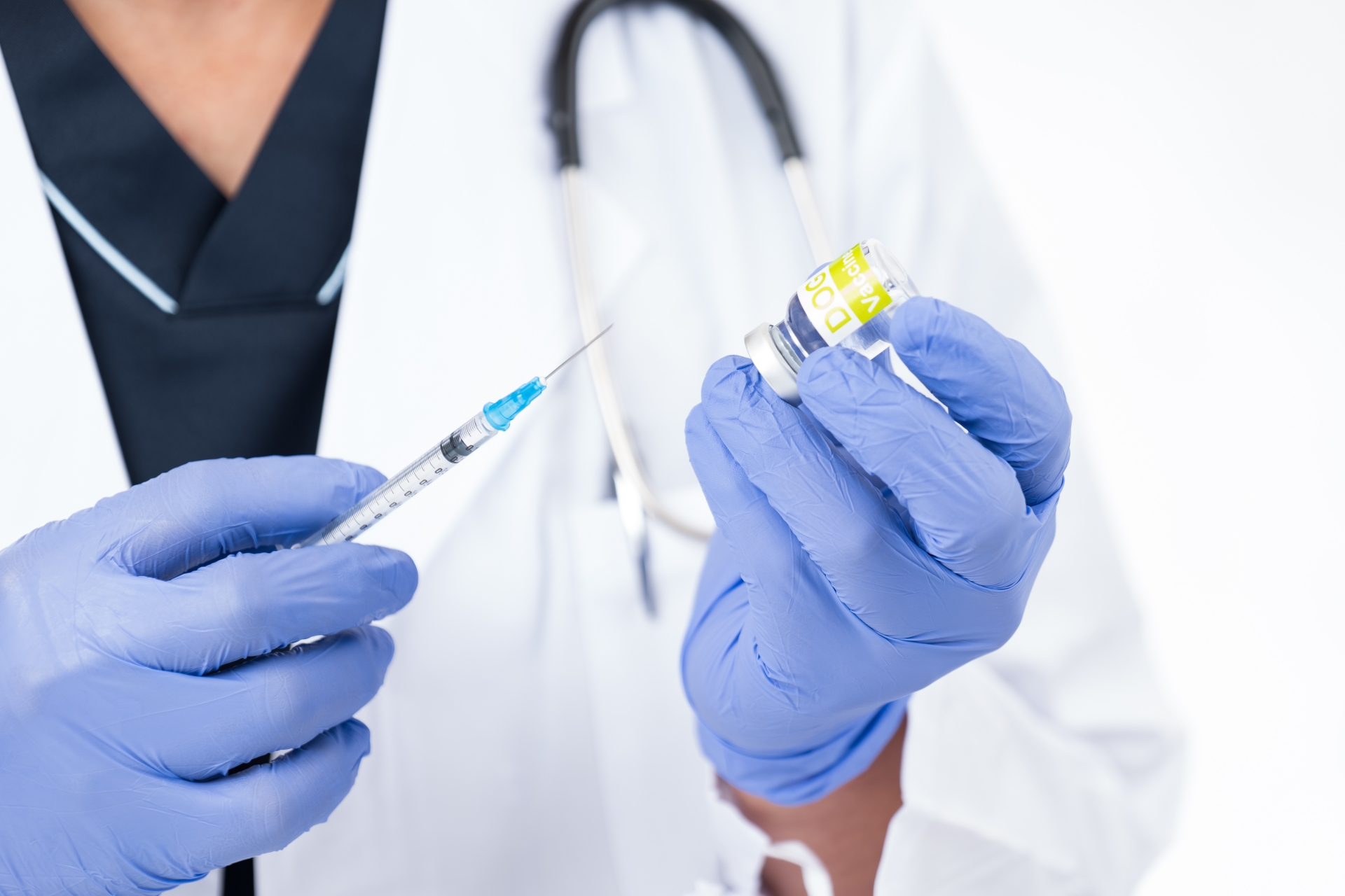 狂犬病ワクチンやその他の予防接種対応しております