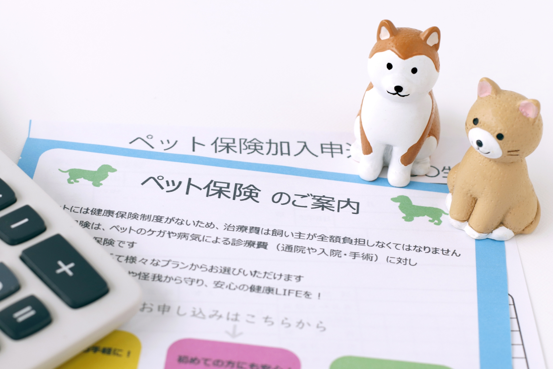 ペット保険もご相談可能です